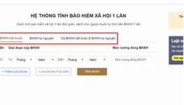 Cách Xem Tiền Bảo Hiểm Xã Hội