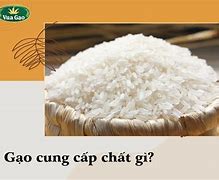 Cám Gạo Có Chất Gì