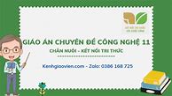 Công Nghệ 11 Kết Nối Tri Thức Chăn Nuôi Bài 2 3 4