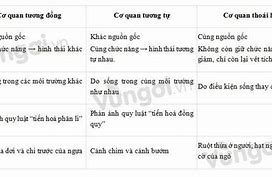 Vai Trò Của Bằng Chứng Giải Phẫu So Sánh